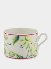 Ginori 1735 Florenza Acanto Green Tea Cup