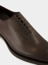 Ferragamo Brown Amber Leather Derby Shoes