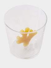 Ichendorf Milano Orange Coral Reef Tumbler Glass