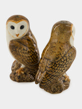 Quail Ceramics Brown Barn Owl Stoneware Salt and Pepper Set