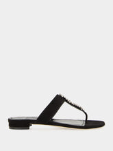 Manolo Blahnik Bizaba Black Suede Flat Sandals