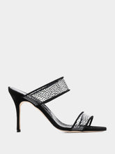 Manolo Blahnik Invymu pumps