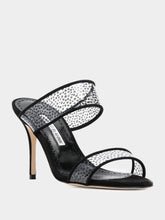 Manolo Blahnik Invymu pumps