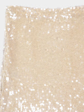 Altuzarra Macadamia Sequin-Embellished Linnei Skirt