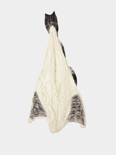 Bordallo Pinheiro Codfish