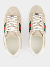 Gucci Oatmeal Suede Ace Sneaker with Web