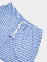 Fedeli Blue Riga Pattern Swim Trunks