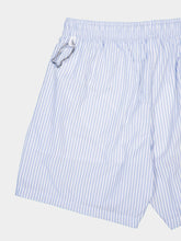 Fedeli Light Blue Striped Swim Shorts