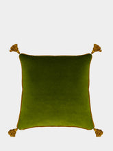 House of Capricorn Afonso Green Velvet and Chenille Embroidered Cushion