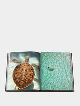 Assouline Jamaica Vibes