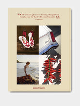 Assouline Biarritz Basque