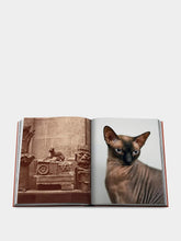 Assouline Chic Cats