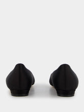 Manolo Blahnik Hangisiflat Ballerinas