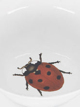 Astier de Villatte Small Ladybug Soup Plate