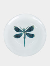 Astier de Villatte Small Dragonfly Soup Plate