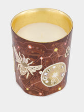 Trudon Libra Wood and Amber Candle 270gr