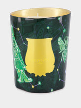 Trudon Fir Christmas Tree Candle 800gr
