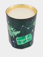 Trudon Fir Christmas Tree Candle 800gr