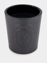 Diptyque Baies big candle 1500g