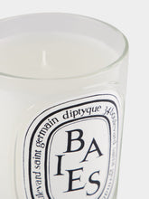 Diptyque Baies Classic Candle 190gr