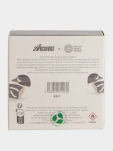 Archivist Golden-Eye Duck Matches