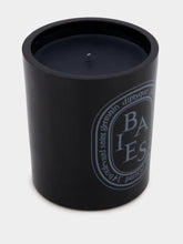 Diptyque Baies Black Candle 300g