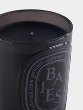 Diptyque Baies Medium Candle 300gr