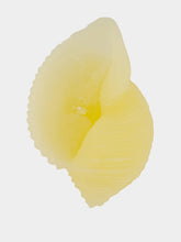 Cerabella Sea Snail Shell Small Candle