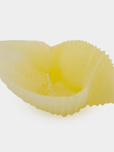 Cerabella Sea Snail Shell Small Candle