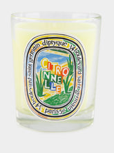 Diptyque Citronnelle Classic Candle 190g