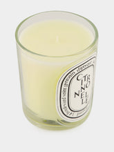 Diptyque Citronnelle Classic Candle 190g