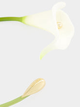 Cult Gaia White Calla Vine Choker Necklace