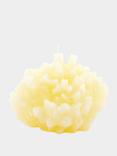 Cerabella Coral Shape Candle