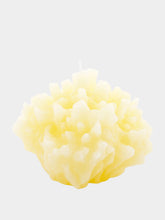 Cerabella Coral Shape Candle
