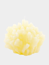 Cerabella Coral Shape Candle