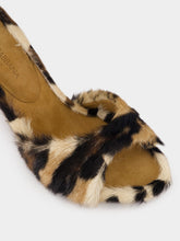 Dolce & Gabbana Leopard-Print Keira Mules