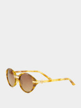 Casablanca Brown and Gold Cannes Sunglasses