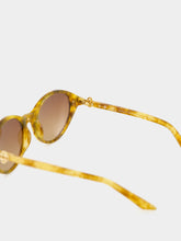 Casablanca Brown and Gold Cannes Sunglasses