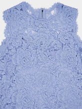 Dolce & Gabbana Sleeveless Floral Lace A-Line Dress
