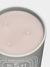 Diptyque Feu de Bois Large Candle 600gr