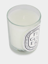 Diptyque Figuier Classic Candle 190gr