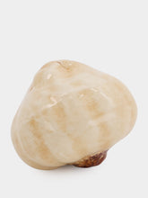 Garlic Clove Ceramic