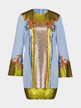 Paula Hydra A-Line Embroidered Mini Dress