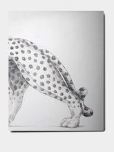 Assouline Cartier Panthère