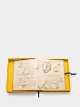 Assouline Arabian Leopard