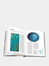 Assouline Egypt Game Book