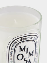 Diptyque Mimosa Classic Candle 190gr