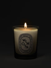Diptyque Mimosa candle 70g