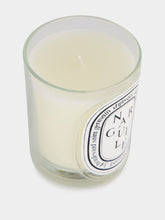 Diptyque Narguilé Classic Candle 190gr