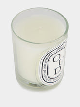 Diptyque Oud Classic Candle 190gr